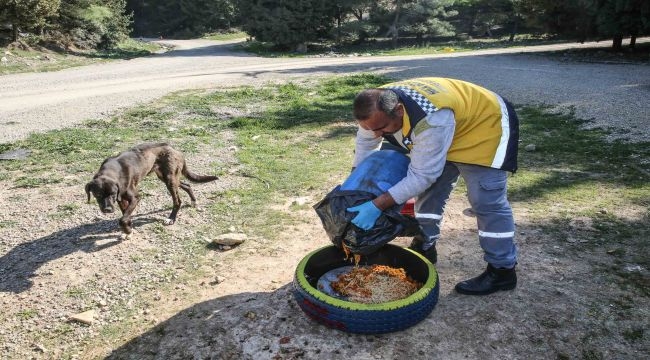 Buca'da sokak hayvanları unutulmuyor