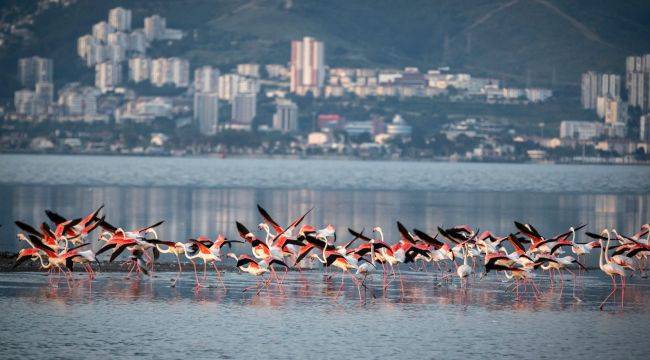 İzmir doğal yaşamla bütünleşecek