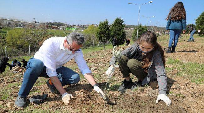 Gaziemirli çocuklar zeytin dikti