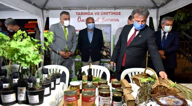 Bornova'da Zeytin Yetiştirme Teknikleri eğitimi