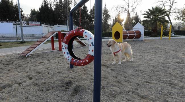 Gaziemir'de köpeklere özel park açıldı