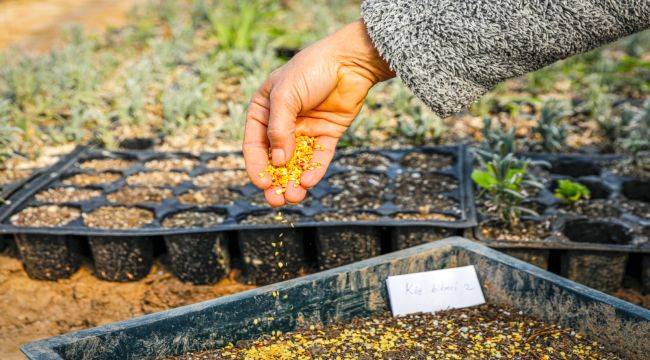 Seferihisar'da "Başka bir tarım mümkün" Projesi