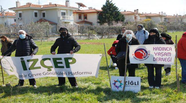 Zeytin Ağaçları İçin Stk'lar Bir Araya Geldi