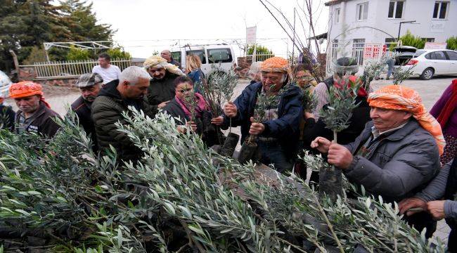 Bornova Belediyesi'nden çiftçiye 10 bin fidan 