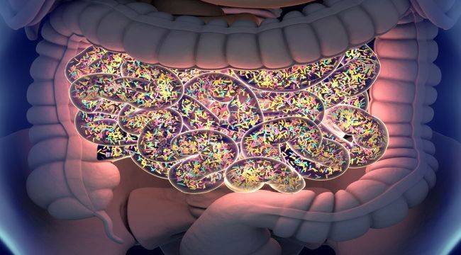  Fonksiyonel Beslenme ve Metabolomix Testi