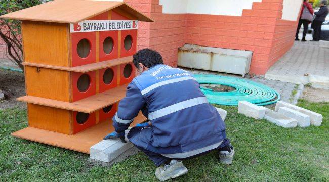 Bayraklı Belediyesi'nden kedilere yeni yıl hediyesi