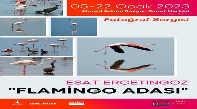 Flamingolar modellik etti, o deklanşöre bastı