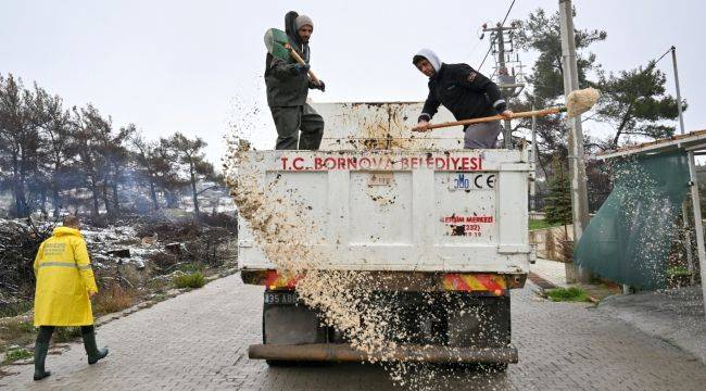  Bornova'da mevsimin ilk karı